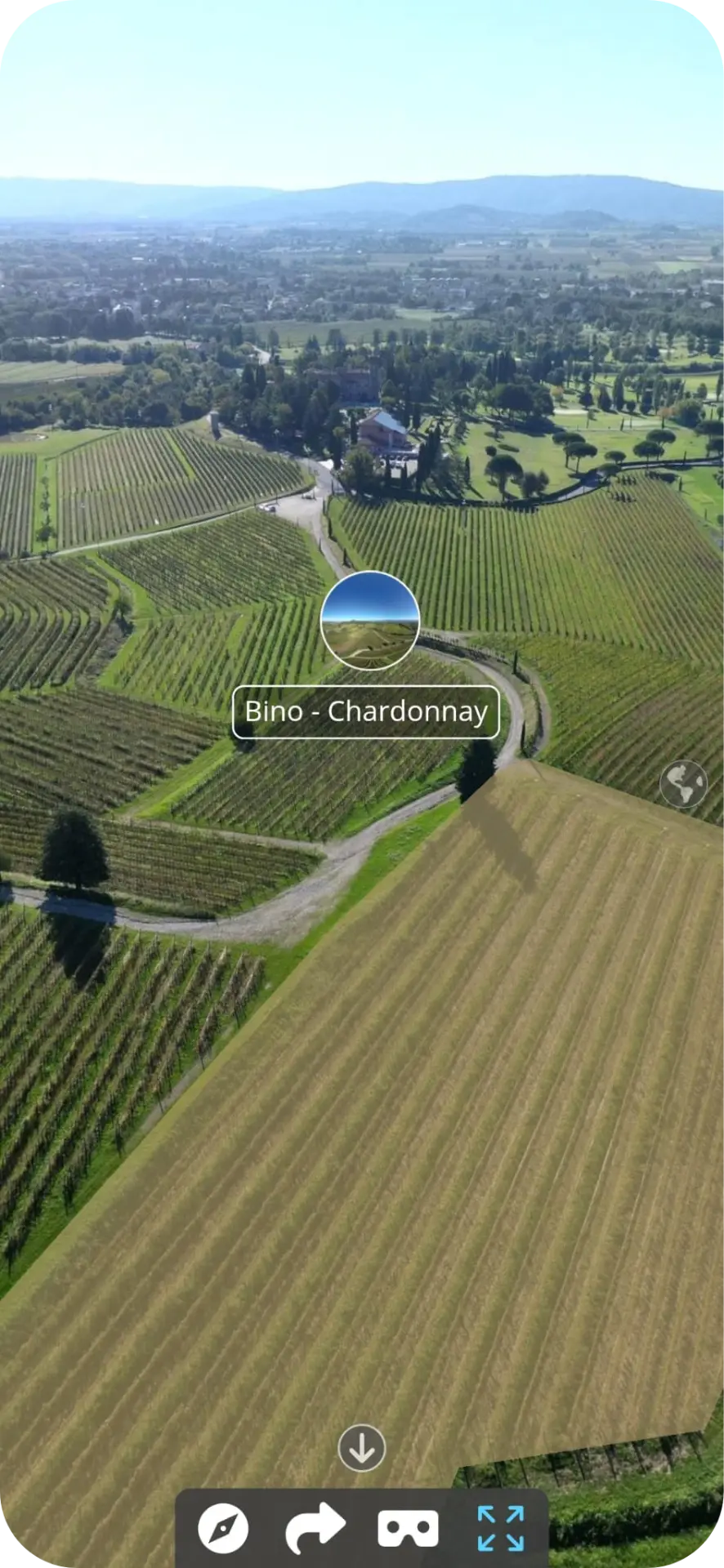 Tour immersivo delle vigne di Villa Russiz su smartphone